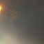 Foto zur Meldung